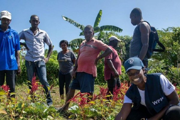 La producción agrícola y pesquera de América Latina crecerá un 14 en