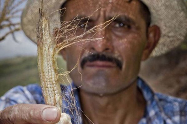 Arranca Un Plan Para Hacer Frente A El Ni O En Am Rica Latina Nuevo