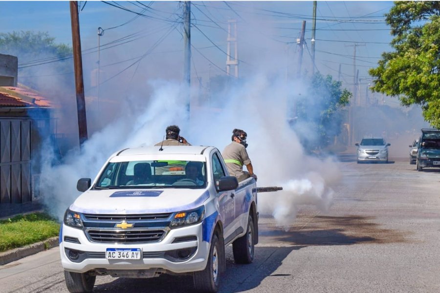 La Municipalidad dio a conocer el programa semanal de fumigación