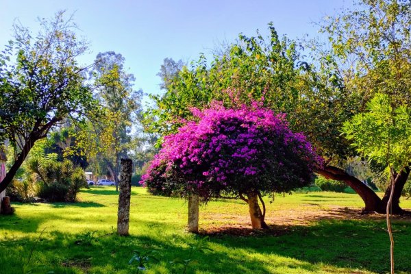 Clima en Santiago del Estero se anuncia una máxima de 32º y cielo