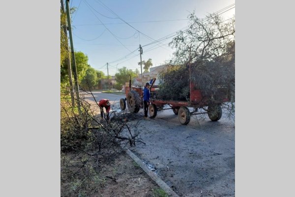 La Direcci N De Parques Y Paseos Intensifica Los Trabajos De Limpieza Y