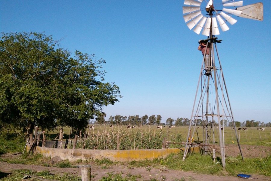 Peón rural murió trágicamente tras caer de un molino que estaba