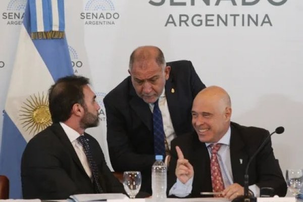 Ley de Bases y paquete fiscal el oficialismo concretó la firma de los