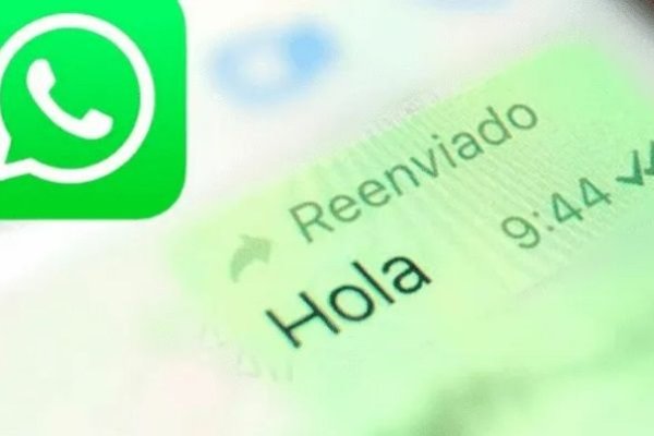 El Nuevo Truco En Whatsapp Para No Pasar Vergüenza Al Reenviar Un Mensaje Equivocado Nuevo 0435