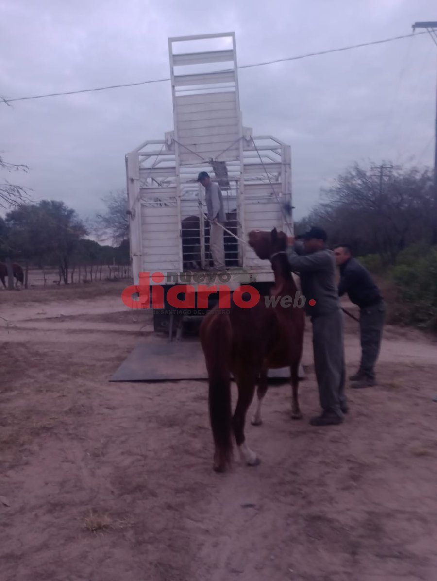 Se continúan con los controles viales (Foto Nuevo Diario Web)