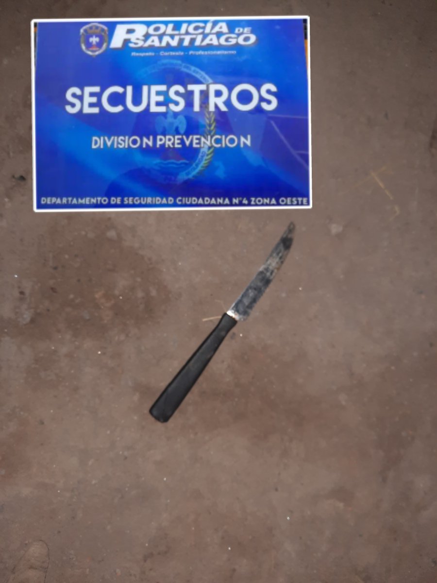 El arma fue secuestrada por los efectivos (Foto Nuevo Diario Web)