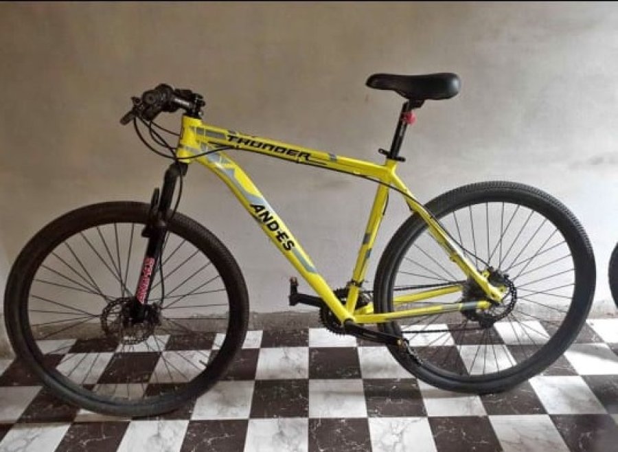 La bicicleta de parecida caracter&iacute;sticas fue la que robaron.