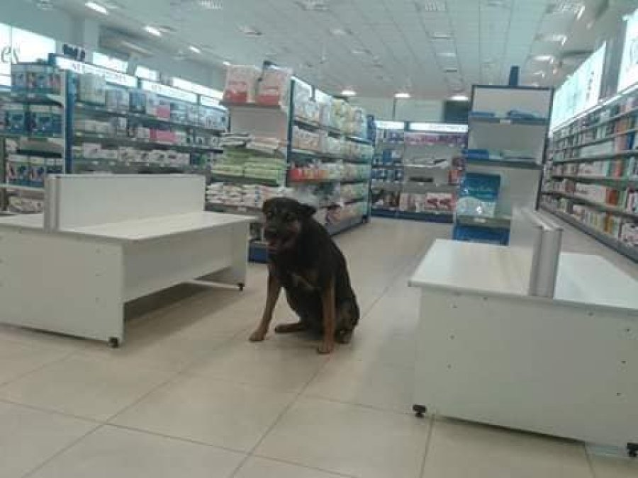 Esperando el n&uacute;mero para ser atendido en la farmacia.