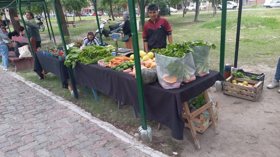 Verduras frescas de la familia Loto.