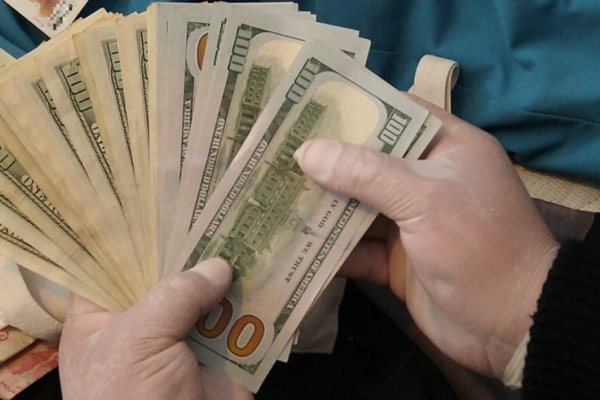 Les hicieron creer que eran arbolitos, los citaron en un departamento y se robaron más de u$s20.000
