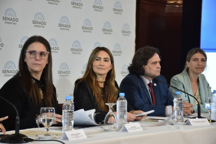 Sonia Rojas Decut, senadora por Misiones. Imagen: redes sociales.