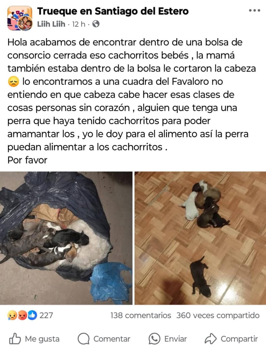 <b>La publicación se volvió viral.</b>