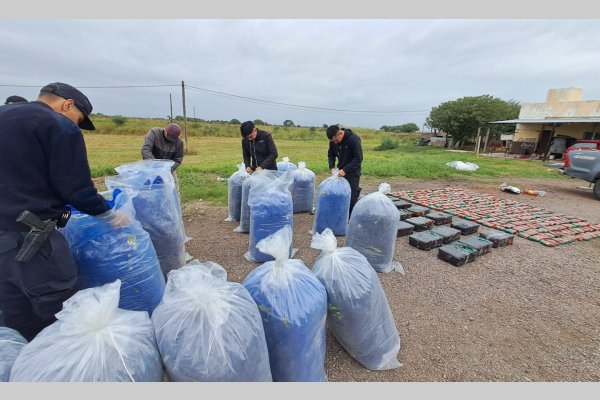 Interceptaron 667 kilos de hojas de coca, valuados en 50 millones de pesos