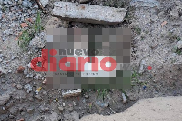 El Deancito: acusan a un vecino de matar a golpes a un perro frente a menores