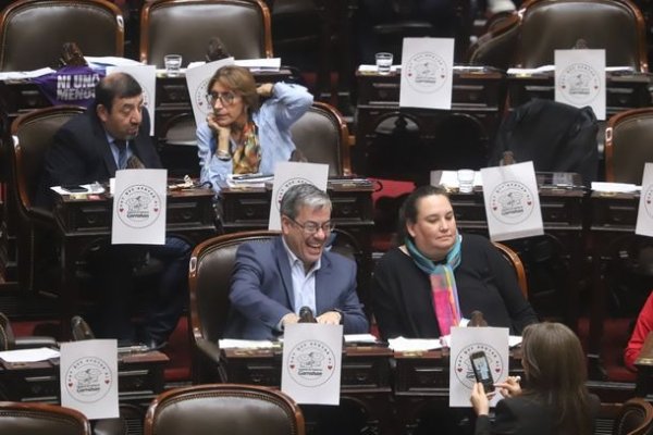 Diputados: se aprobó la ley de emergencia en Discapacidad por amplia mayoría