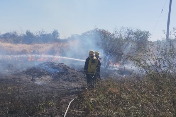Rápida intervención de Bomberos evitó que un incendio de pastizales alcanzara instalaciones eléctricas en Frías
