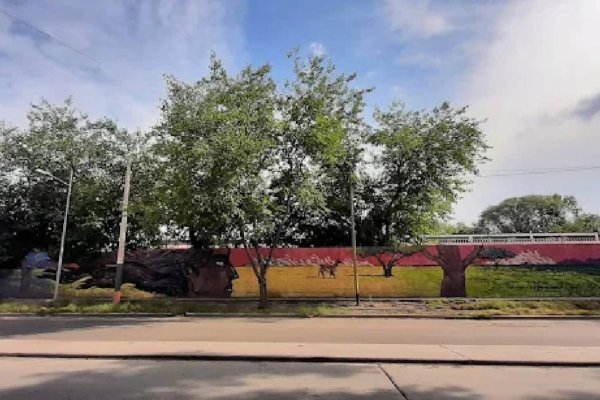 “Voy a matar a todos los docentes del turno tarde”: la amenaza de un alumno