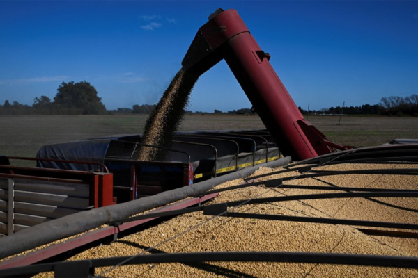 Por primera vez, China compró harina de soja argentina, lo que más dólares genera en el país