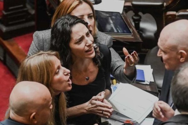 Empujones, gritos e insultos a Espert: por qué se levantó la sesión en Diputados