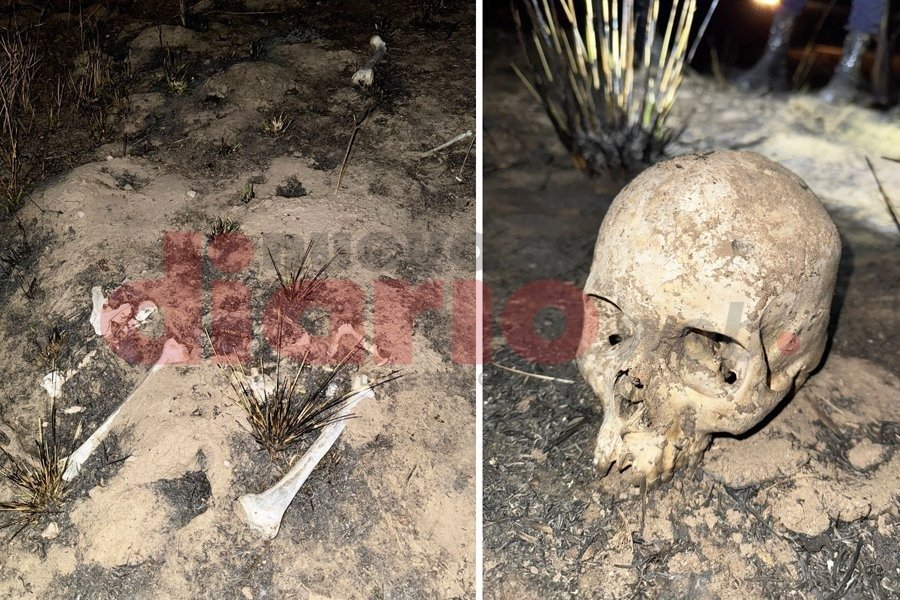 Los primeros restos encontrados