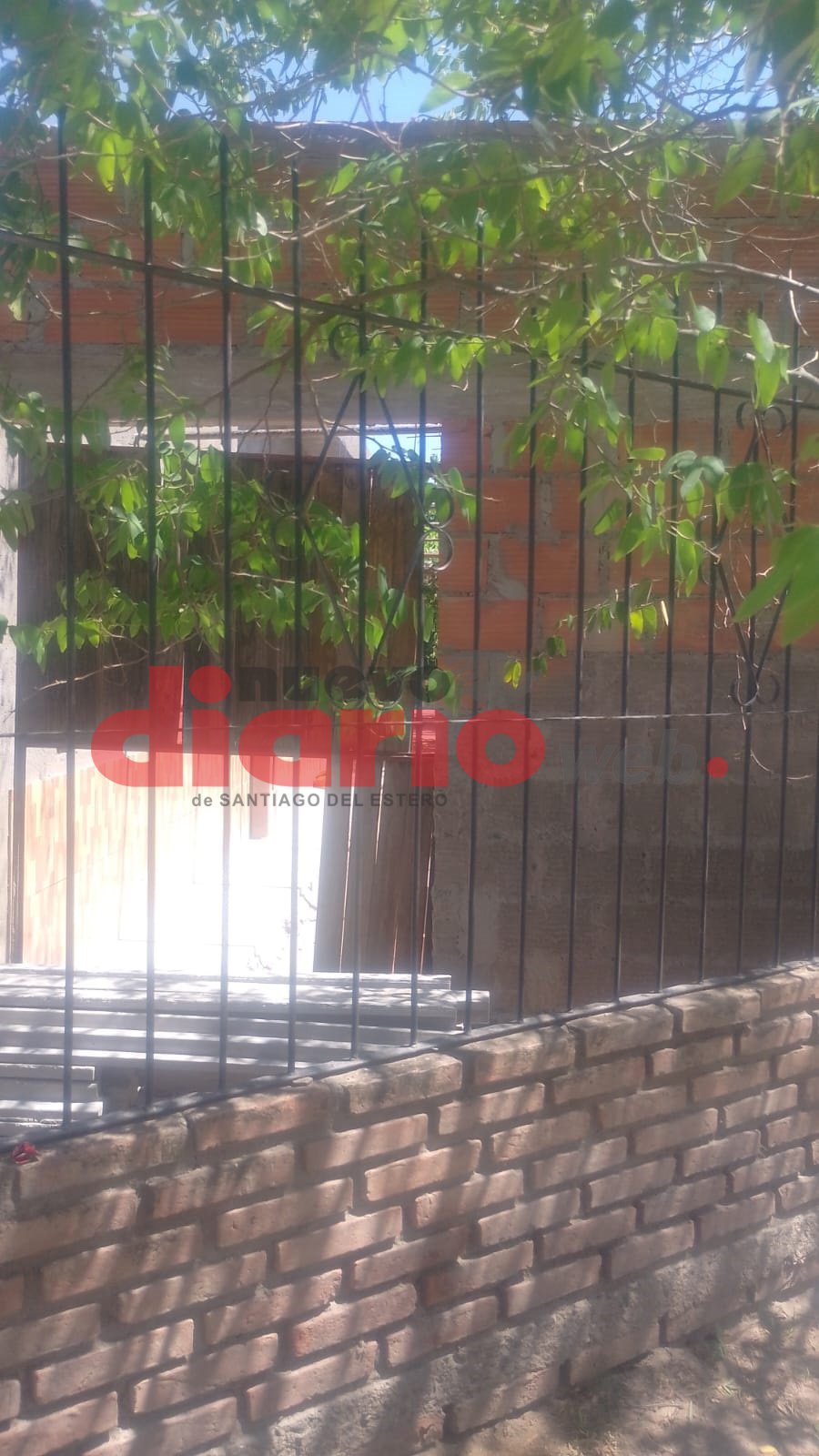 <b>La reja que salt&oacute; para entrar y huir el ladr&oacute;n.</b>