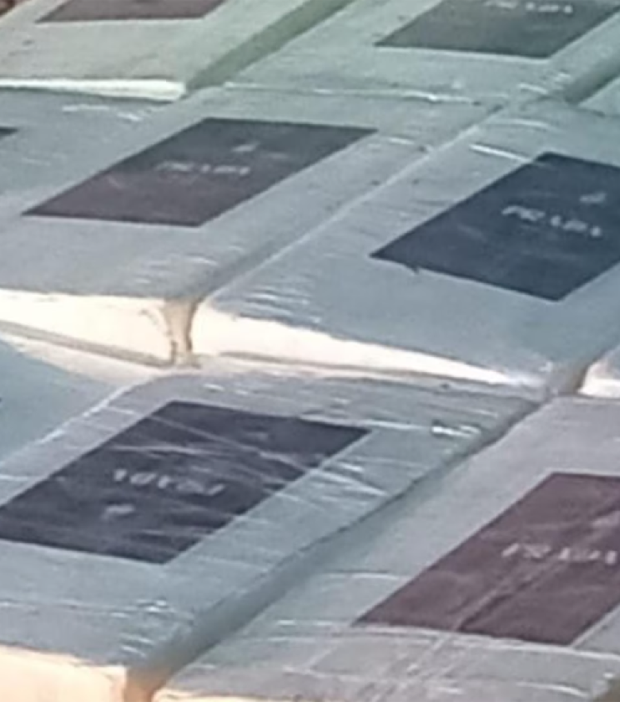 <b>Numerosos bultos de coca&iacute;na llevaba en su interior.</b>