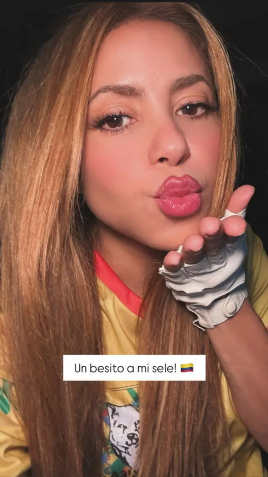 Shakira en su instagram.