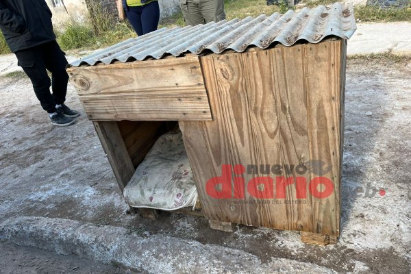 Se robaron la cucha de un perrito callejero y la vendieron por $10.000 | La recuperaron gracias a una vecina