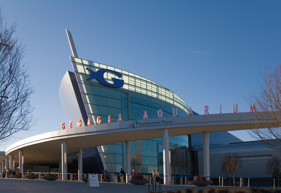 <i>El Georgia Aquarium de Atlanta es uno de los acuarios m&aacute;s grandes del mundo y una de las principales atracciones tur&iacute;sticas de la ciudad durante el Mundial 2026.</i>