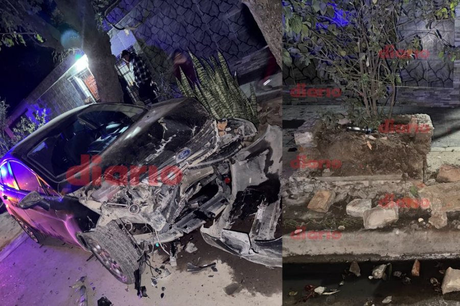 El auto de Contreras y c&oacute;mo qued&oacute; el cantero.