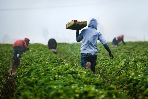 Abren una bolsa de trabajo rural con vacantes en todo el país