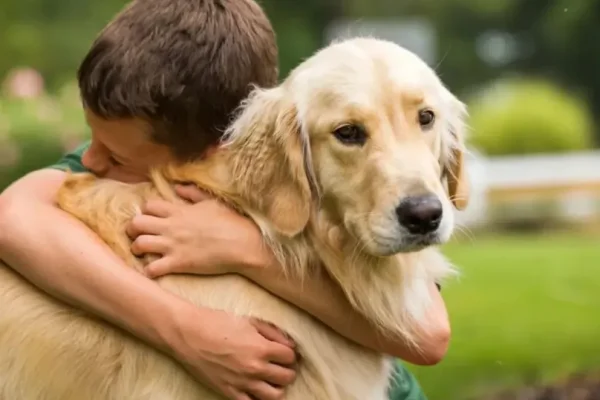 Día Mundial del Perro: una fecha para celebrar el amor y promover la adopción responsable