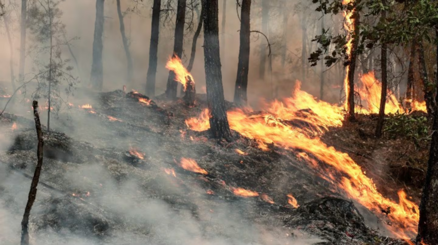 <i>Los incendios avanzan sin control en España y Francia: ya hay m&aacute;s de 150.000 evacuados y miles de hect&aacute;reas arrasadas. (Foto: TN)</i>