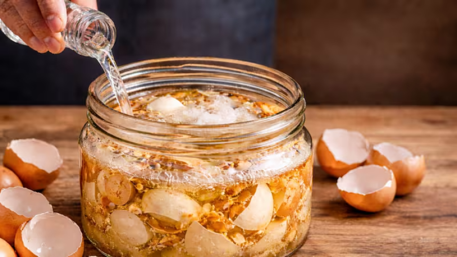 <i>La mezcla de c&aacute;scara de huevo y vinagre es un fertilizante casero que ayuda a aportar calcio al suelo y fortalecer el crecimiento de las plantas.</i>